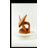 Grosvenor 1 - Bottle Solid Wood Wine Bottle Rack in Brown