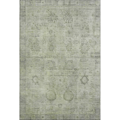 Premium Machine Washable Verlin AMF1769 Border Rug