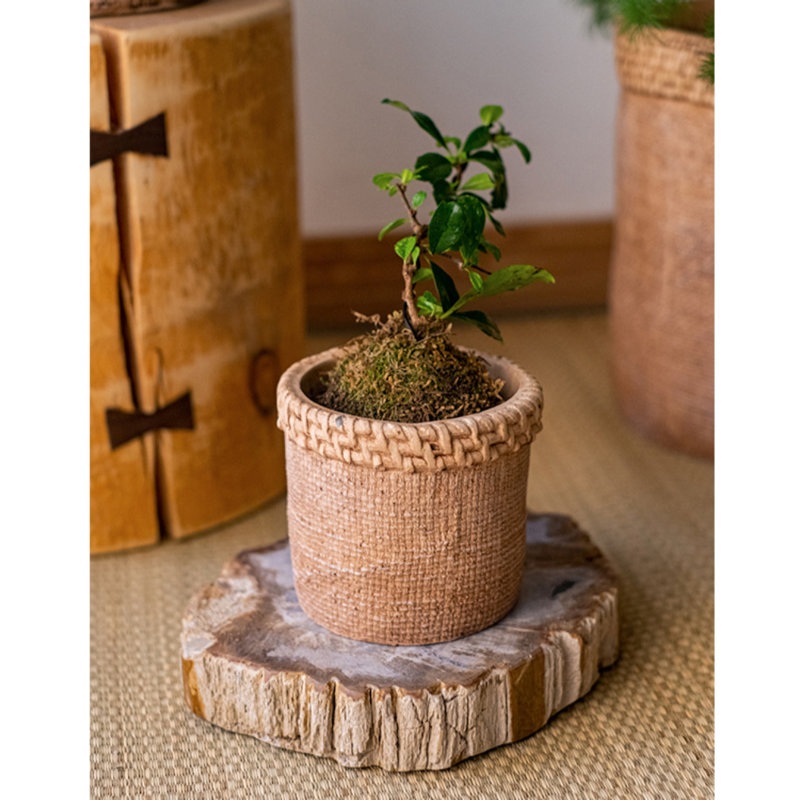 Pot de fleurs en béton, H 10 po x l 11 po x P 10 po