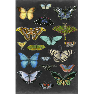 " Graphic Butterfly Taxonomy I " by Naomi McCavitt