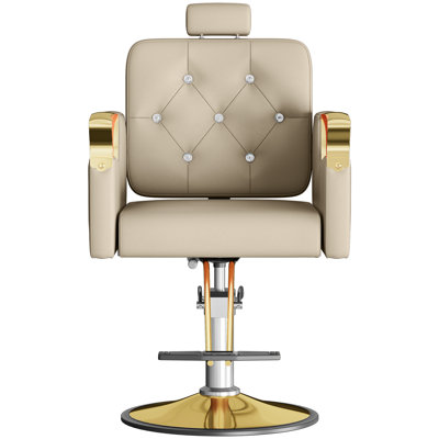 Fauteuil de coiffeur pour coiffeurs, fauteuil de coiffage hydraulique avec pompe robuste, fauteuil de coiffeur pivotant à 360 ° inclinable, appui-tête réglable, équipement de salon de beauté, 330 lb (beige-or)