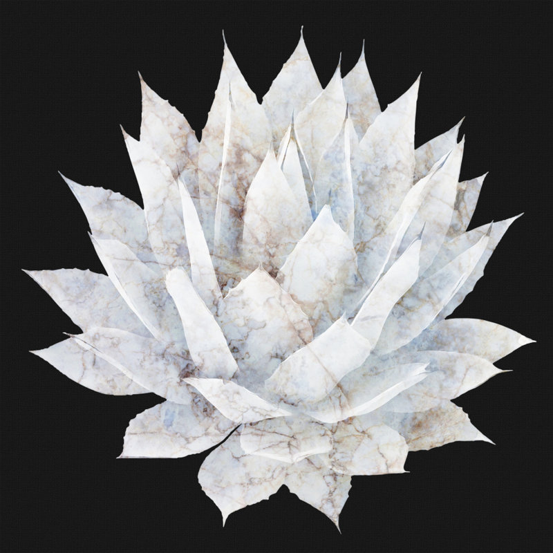 "Agave Agave", art mural texturé encadré, H 12 po x l 12 po, Argent
