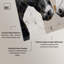 Art mural rustique Kintsugi Horses II par Art Remedy, prêt à accrocher, 24 x 24-960108767