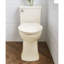 Toilette allongée une pièce Townsend Vormax 1,28 GPF (siège inclus)-23507238