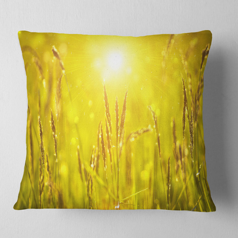 Coussin herbe au coucher du soleil, 16 po x 16 po, Coussin décoratif