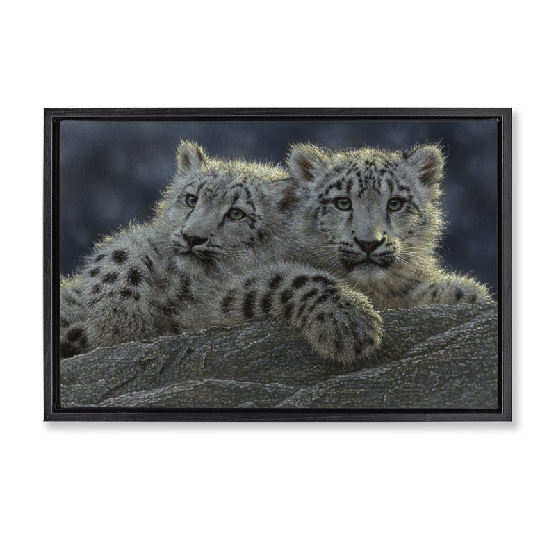 Cadre flottant Snow Leopard, Cadre flottant noir de jais, H 17 po x l 25 po