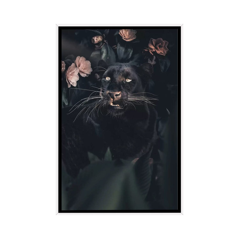 Black Panther by Zenja Gammer - Print on Canvas, 66.04 cm H x 45.72 cm W, White Framed