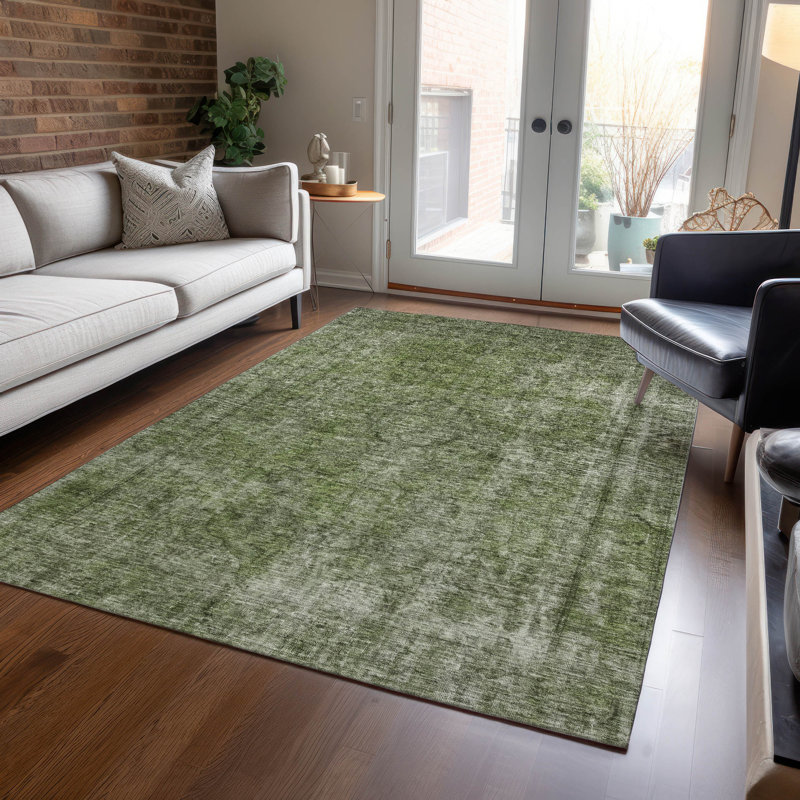 Tapis intérieur / extérieur vert Emberith, 2 pi 6 po x 3 pi 10 po
