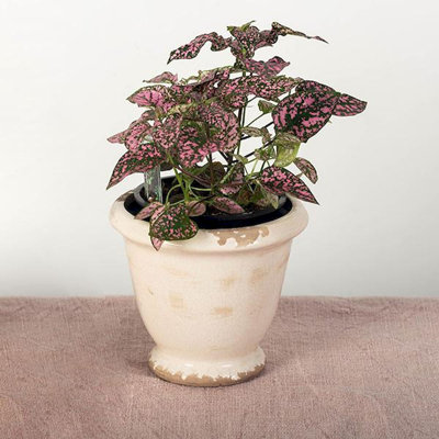 Cache-pot en céramique Aaryav