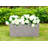 Planter-233710365-169871259