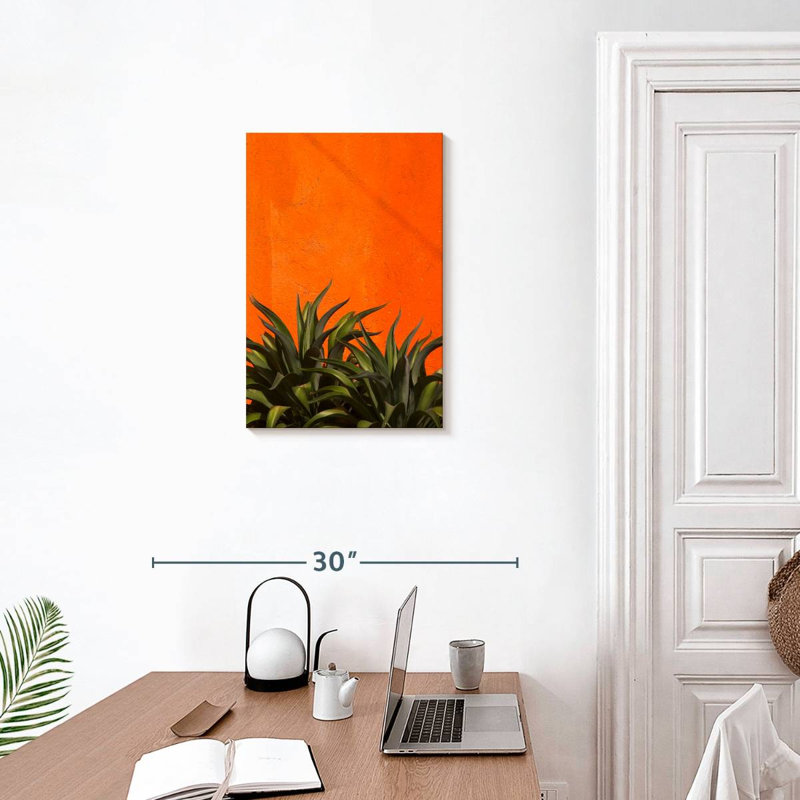 Harnek Agave, 24" H x 16" W