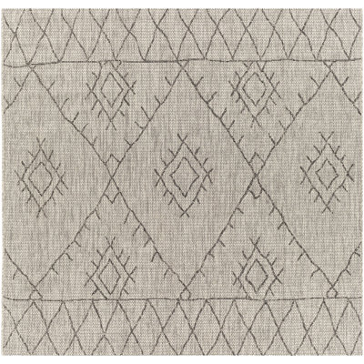 Hongming Southwestern Indoor / Outdoor Rug