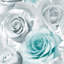 Madison 10.05m x 53cm Glitter Wallpaper Roll-38346756