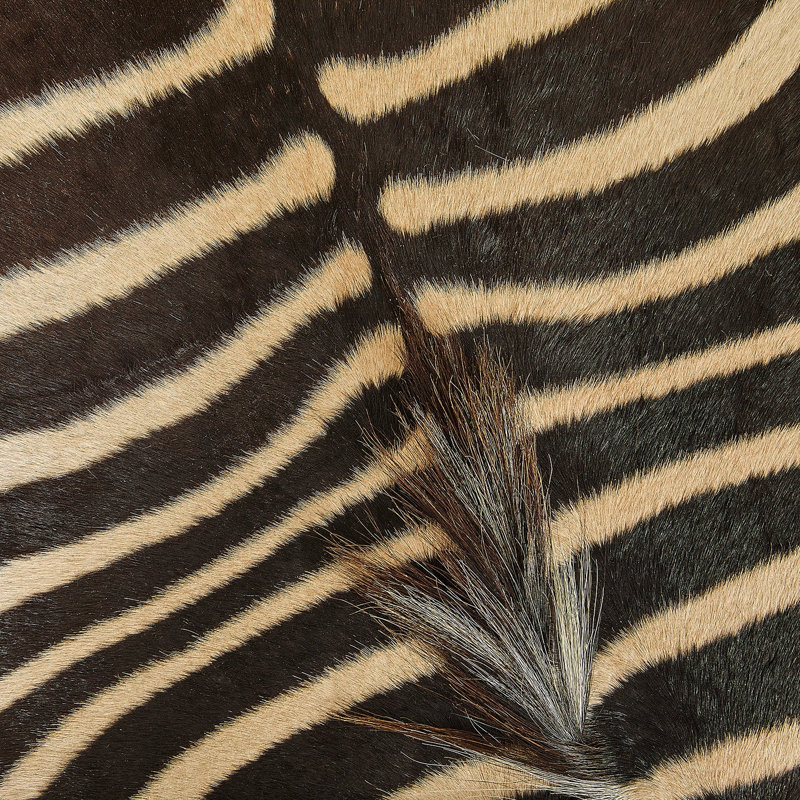 Zebra Hide Large Round