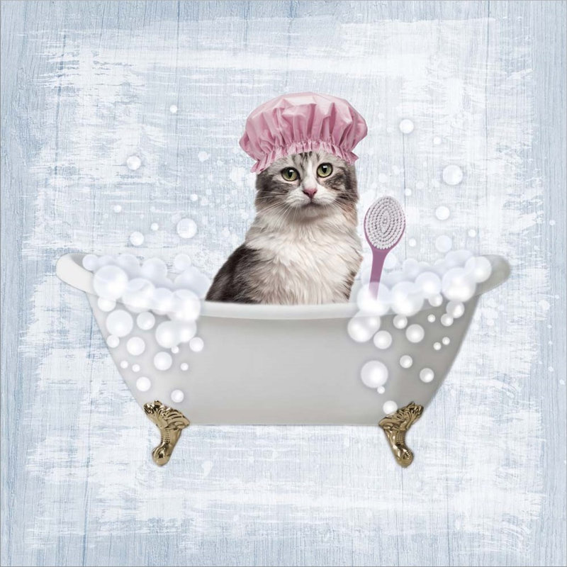 Fun Kitty Bath 1 by Fun Kitty Bath 1 - Unframed Graphic Art on Canvas