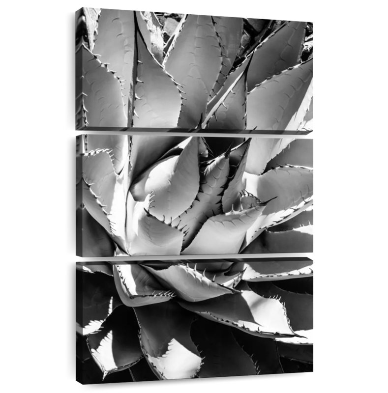 Harnek noir Arizona - Agave, H 32 po x l 20 po