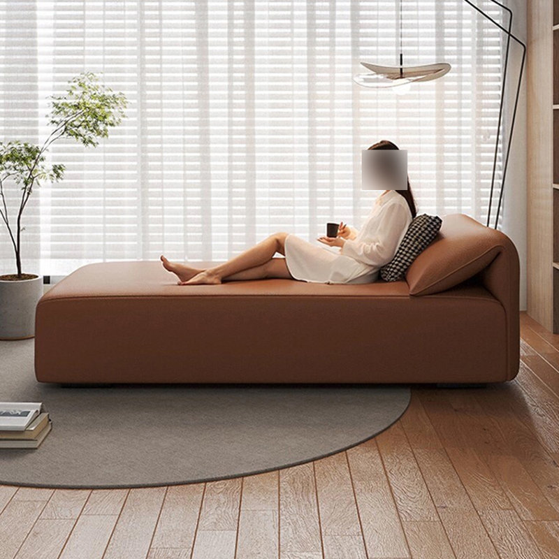 Méridiennes d'intérieur Modern Home Living Room, Brun