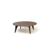 Pirwi Coffee Table
