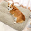 Coussin de siège pour animal de compagnie-863325964-863325952