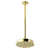 Polished Brass