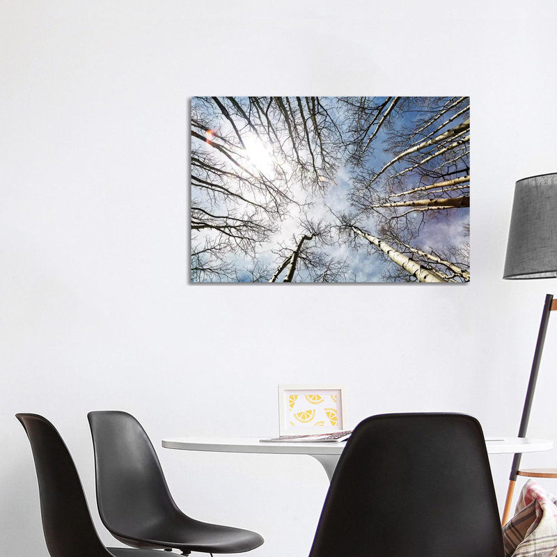 Looking Up On Tall Birch Trees by Susan Schmitz - Wrapped Canvas Gallery-Wrapped Canvas Giclée