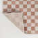 Aimee Traditional Cottage Checkerboard Salmon/Cream Indoor/Outdoor Rug