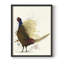 Pheasant Splash 8, reproduction encadrée - bois massif-711465879-711465877