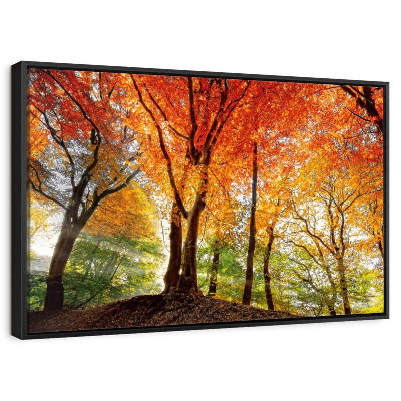 Prism Of Light, Floating Frame Black, 13" X 9"