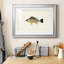 «Tropical Fish Collection III», reproduction encadrée de qualité supérieure - prête à être accrochée-774153419-774153416-774163753