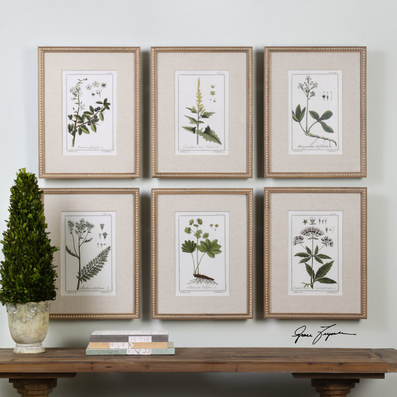 Floral Botanical Study - 6 Piece Single Picture Frame Print
