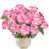 Rose sélectionné