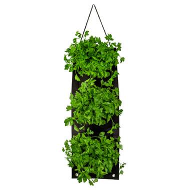 Aptoco Gallon Grow Bag Non-woven Plant Planting Bag, Flower Seedling  Breeding Nutritional Grow Bag & Reviews