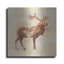 «Elk Study V2» par Studio Mousseau-666967182