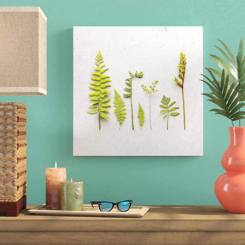Flat Lay Ferns III 1 Piece Wall Art on Canvas, 51cm H x 51cm W
