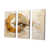 Toile tendue