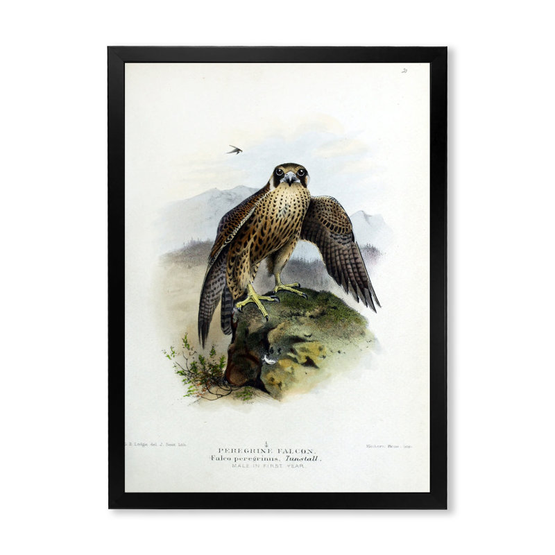 Vie d'oiseau rétro - peinture sur toile, H 40 po x l 30 po x 1,5 po, Cadre photo noir