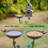 Certie Birdbath