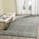 Troene Oriental Hand Woven Area Rug
