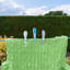 Thrailkill Plastic Clothes Pin