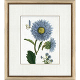 Botanical La Flore IV Painting