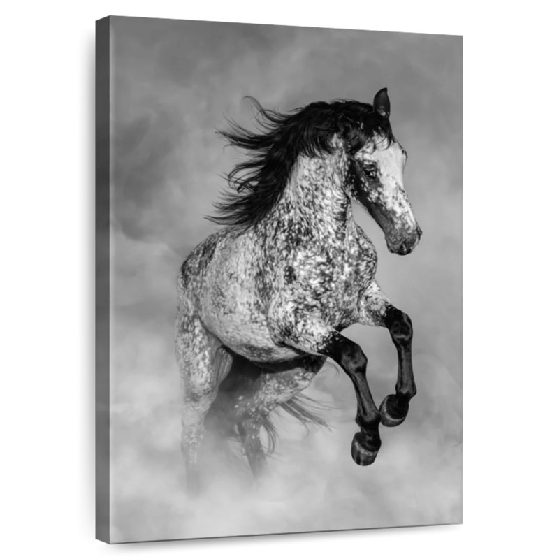 Brampt Black And White Appaloosa, 30" H x 20" W
