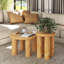 Ensemble de 2 tables basses Farmhouse