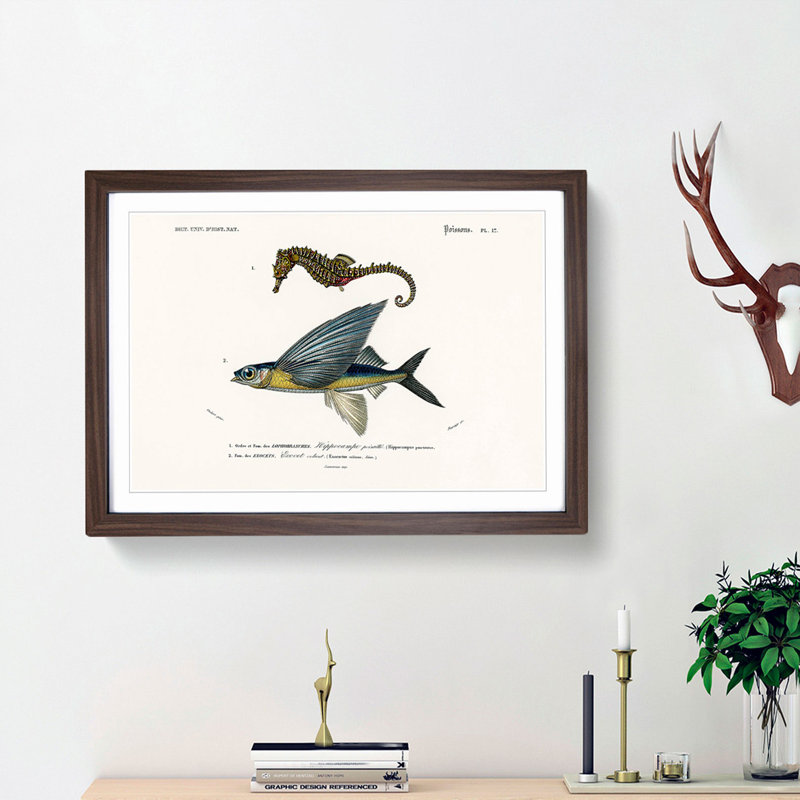 Seahorse & Flying Fish by Charles d' Orbigny - Picture Frame Painting Print, 27cm H x 36cm W x 2cm D, Walnut Framed