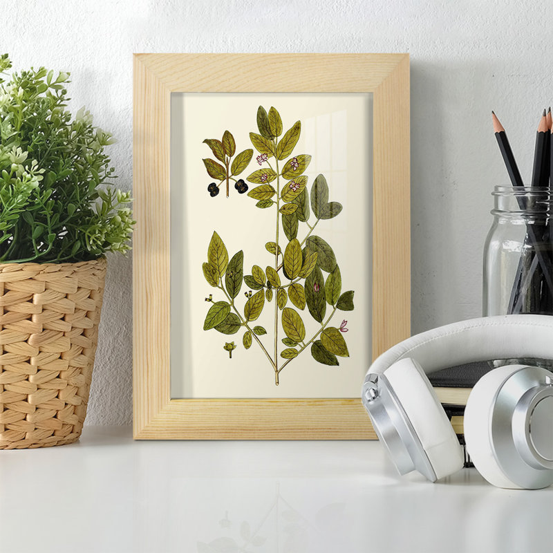 Olive Greenery VII, reproduction d'art encadrée, H 8 po x l 6 po x P 1 po, Naturel