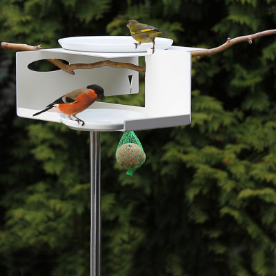 Vejtsberg Metal Modern Architecture Birdbath