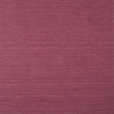 Indoor Rug