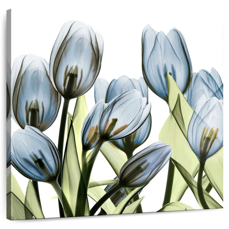 Arney Tulip Blues