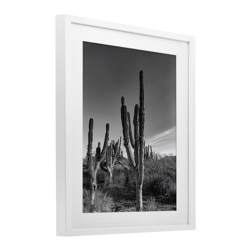 Cactus Field & Vast Sky, reproduction encadrée sous verre, design par Norm Stelfox, H 21 po x l 17 po, Cadre blanc côtier