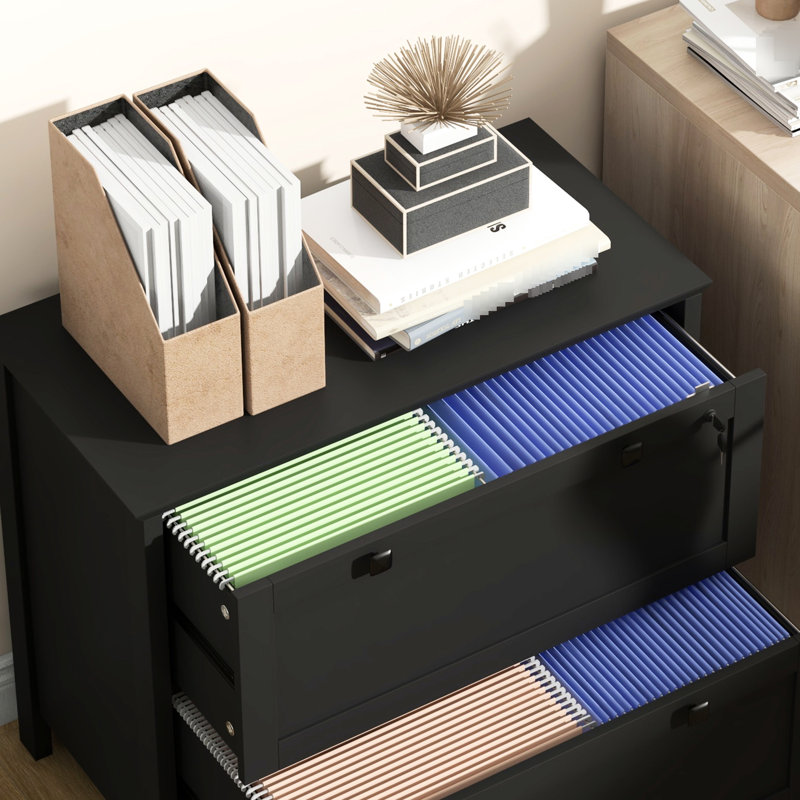 Classeur à 2 tiroirs avec serrure, noir. Maximisez le rangement de votre bureau personnel. Contient des dossiers de format lettre, A4 et légal. Conception fonctionnelle. - Matériau de panneau de particules revêtu. Capacité de l 31,1 po x l 15,7 po x H 28,3 po. Capacité de 132 lb.