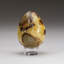 Polished Septarian Egg From Madagascar (175.6 Grams)